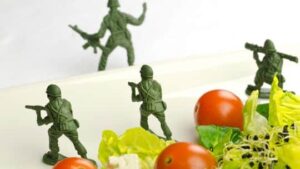 FOOD DEFENSE BASICS I (eng) - Cibum.gr