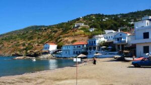 Κολοκάσι: το super food των Ικαριωτών - Cibum.gr