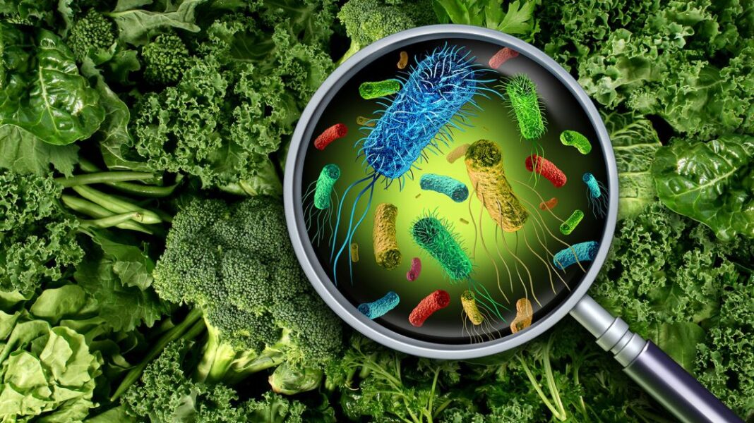 Ανησυχητική άνοδος των κρουσμάτων E. coli: Ποια χώρα είχε πάνω από 2.000 περιπτώσεις το 2022 - Cibum.gr