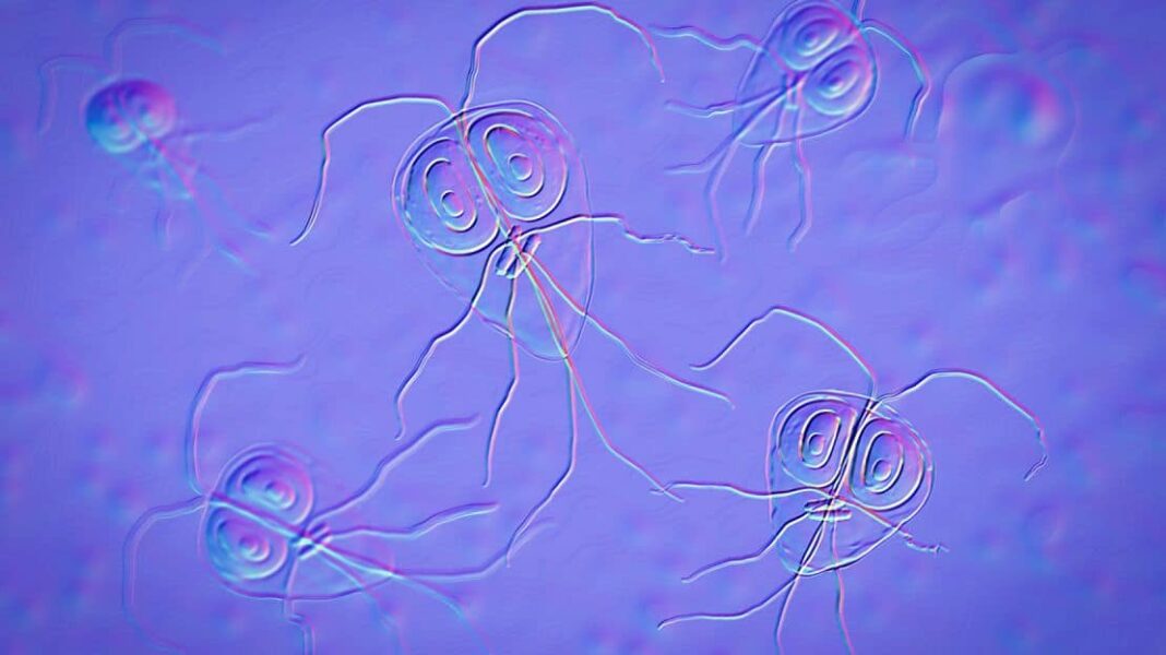 Η επιδημία Giardiasis  στην Ιταλία από μολυσμένο νερό βρύσης - Cibum.gr