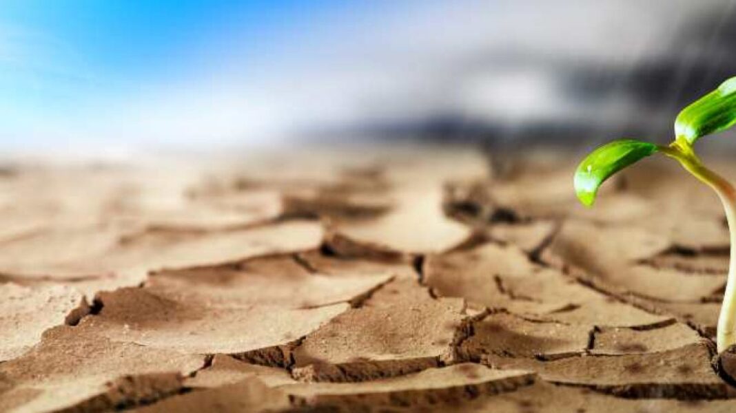Η ξηρασία απειλεί έως το 15% της παραγωγής στην ευρωζώνη, προειδοποιεί η Ευρωπαϊκή Κεντρική Τράπεζα - Cibum.gr