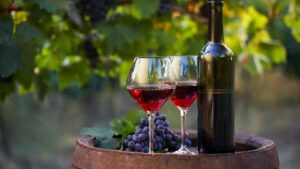 Κρασί Syrah: Η επίδραση της προσθήκης ακεταλδεΰδης στην οργανοληπτική αντίληψη - Cibum.gr
