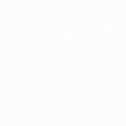 spot_img