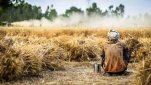 Πώς η κλιματική αλλαγή «απειλεί» την παγκόσμια σοδειά - Cibum.gr
