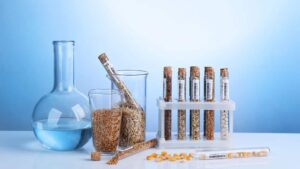 Ανάλυση μυκοτοξινών Τ-2/ ΗΤ-2: Νέες τεχνικές διαλογής και επιβεβαίωσης - Cibum.gr