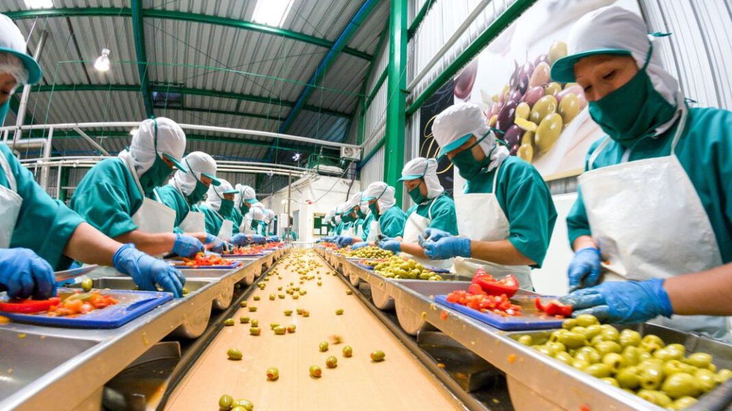 Food Defence: οδηγός κάλυψης απαιτήσεων από το FSSC22000 - Cibum.gr