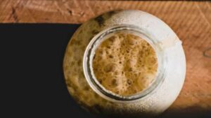 Vegan: ποιο είναι το ιδανικό υποκατάστατο του τυριού - Cibum.gr