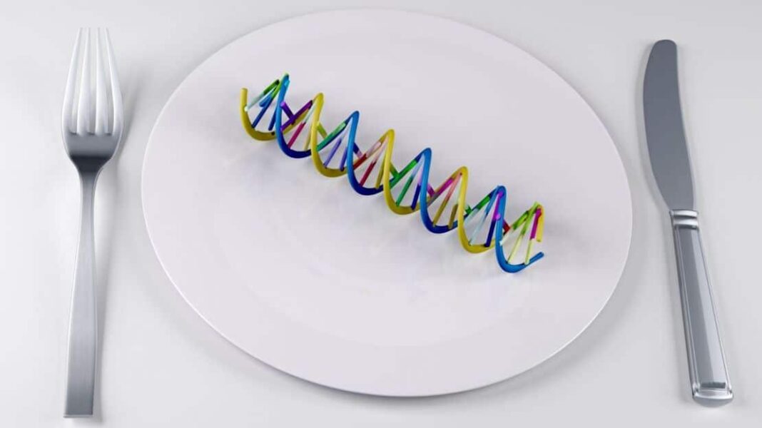 Η ελληνική startup που αποκωδικοποιεί το DNA των τροφίμων - Cibum.gr