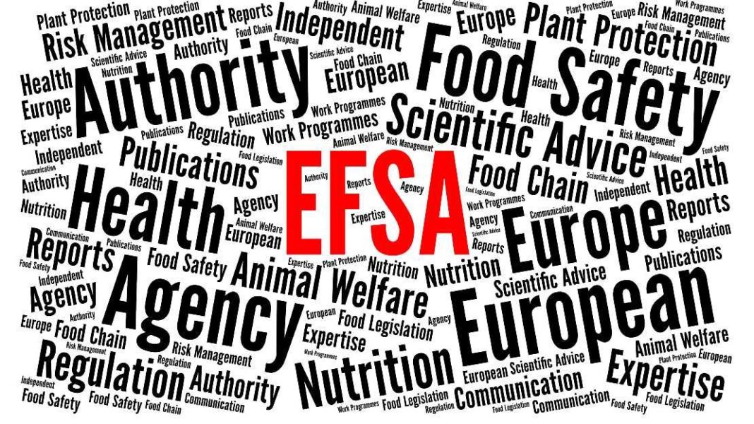 EFSA: Αξιολόγηση γενετικώς τροποποιημένου αραβοσίτου για χρήσεις τροφίμων και ζωοτροφών - Cibum.gr
