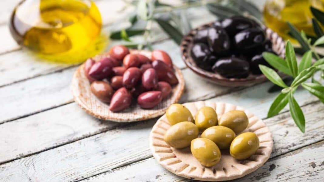 Μέθοδος για τον έλεγχο αυθεντικότητας των ποικιλιών επιτραπέζιων ελιών - Cibum.gr