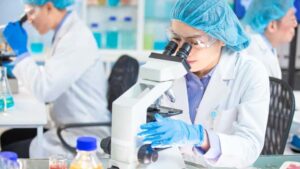 EFSA: Νέα τρόφιμα - NOVEL FOOD - όροι και διαδικασίες αξιολόγησης και έγκρισης - Cibum.gr