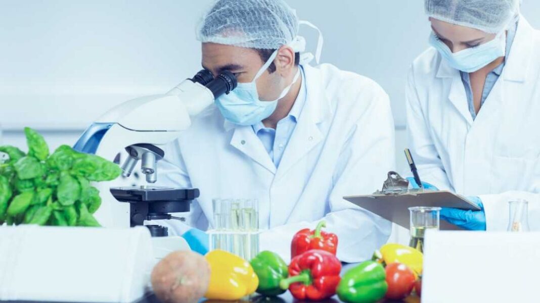 Νιτρικά άλατα: Νέα μελέτη αλλάζει την εικόνα σχετικά με τους κινδύνους που ελλοχεύουν - Cibum.gr