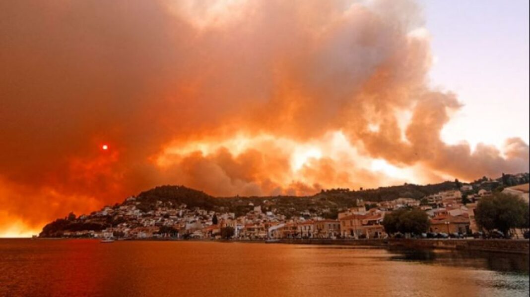 Όλα τα μέτρα στήριξης για τους πυρόπληκτους παραγωγούς - Cibum.gr