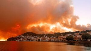 Όλα τα μέτρα στήριξης για τους πυρόπληκτους παραγωγούς - Cibum.gr