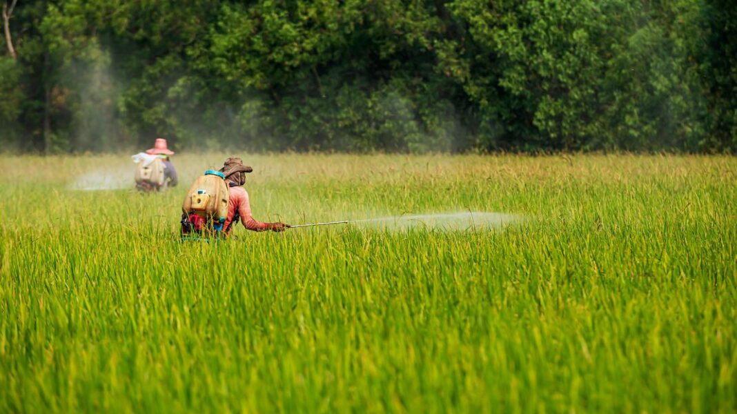 Τέλος στη χρήση του φυτοφαρμάκου chlorpyrifos στα τρόφιμα στις ΗΠΑ - Cibum.gr