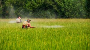 Τέλος στη χρήση του φυτοφαρμάκου chlorpyrifos στα τρόφιμα στις ΗΠΑ - Cibum.gr