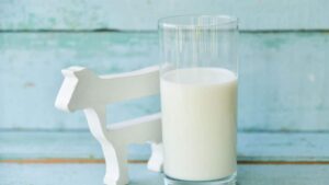 Δηλητηριασμένο γάλα προκάλεσε 11 κρούσματα καμπυλοβακτηρίωσης - Cibum.gr