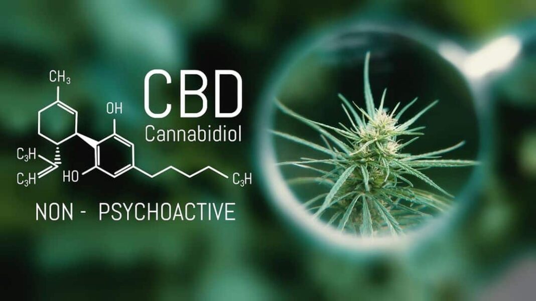 Κανναβιδιόλη (CBD): Μία αγορά σε πλήρη άνθηση, που εξακολουθεί να διχάζει - Cibum.gr
