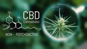 Κανναβιδιόλη (CBD): Μία αγορά σε πλήρη άνθηση, που εξακολουθεί να διχάζει - Cibum.gr