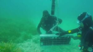 Υποβρύχια κάβα Χαλκιδικής: Άρχισαν οι παραγγελίες από τη Γαλλία - Cibum.gr