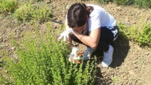 Η 28χρονη από τη Χίο που εξάγει αρωματικά φυτά και βότανα σε όλο τον κόσμο - Cibum.gr