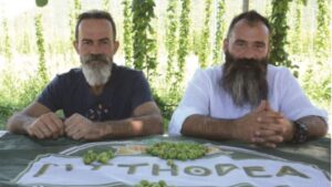 Mythodea: Ο ελληνικός λυκίσκος που κατατάσσεται στους κορυφαίους διεθνώς - Cibum.gr