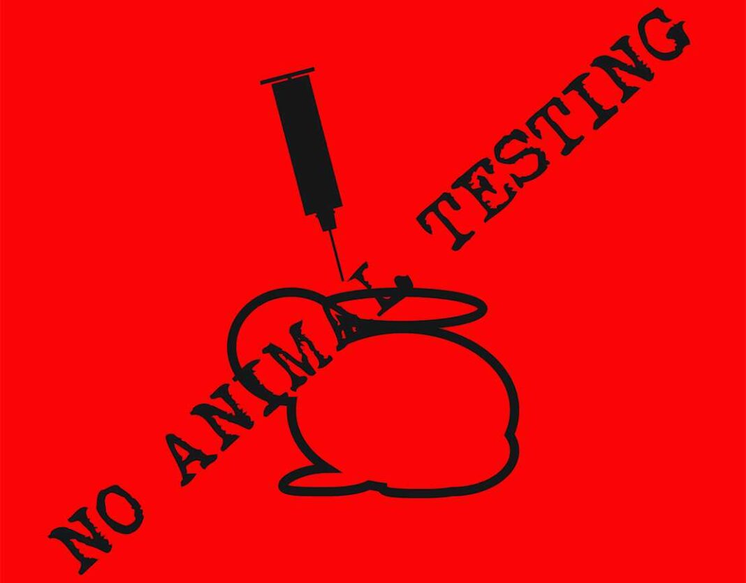Γιατί οι vegans μπορεί να εξαιρούνται από τους υποχρεωτικούς εμβολιασμούς COVID-19 στο χώρο εργασίας - Cibum.gr