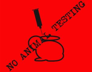 Γιατί οι vegans μπορεί να εξαιρούνται από τους υποχρεωτικούς εμβολιασμούς COVID-19 στο χώρο εργασίας - Cibum.gr