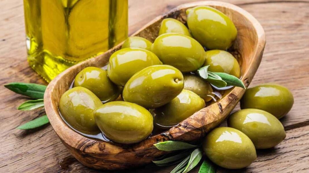 Μειωμένη έως 80% η παραγωγή πράσινης ελιάς στη Χαλκιδική - Cibum.gr