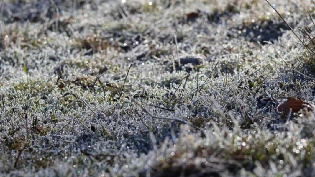 Στη Βουλή η αποζημίωση των δενδροκαλλιεργητών για τον παγετό - Cibum.gr