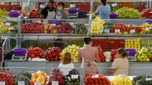 Πως θα μειωθεί το κόστος για τους παραγωγούς στον αγροδιατροφικό τομέα - Cibum.gr