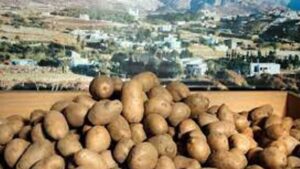 Food Experience 2021: πρωταγωνίστρια η πατάτα Νάξου - Cibum.gr