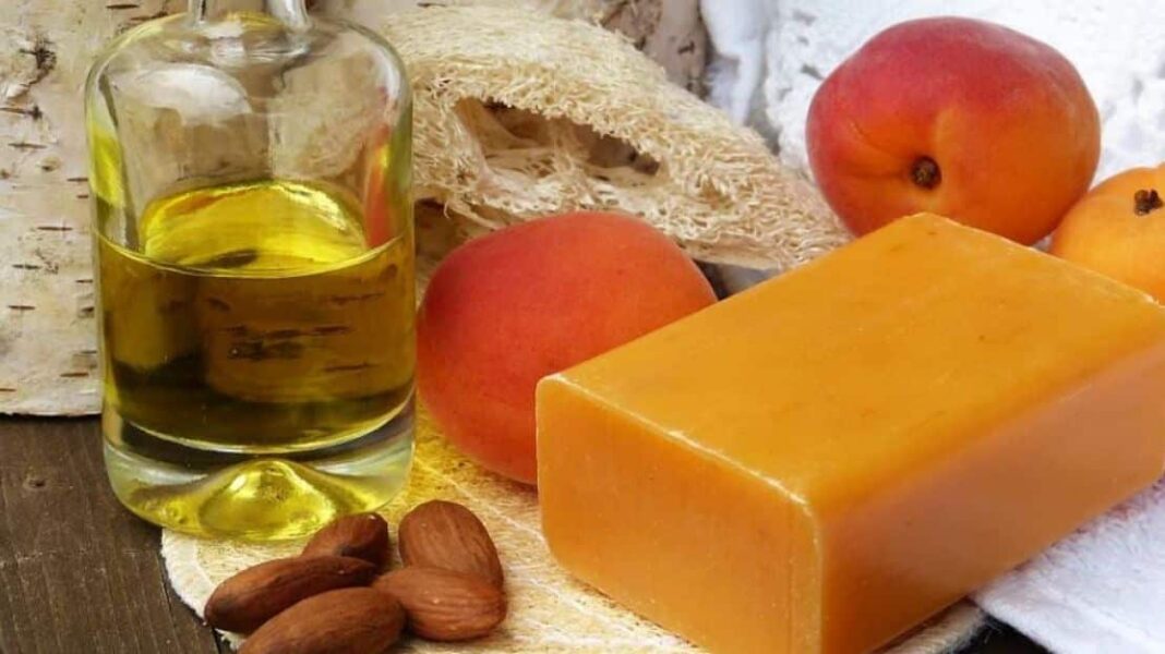 Τι είναι το έλαιο από πυρήνες βερίκοκου και ποια τα οφέλη του; - Cibum.gr