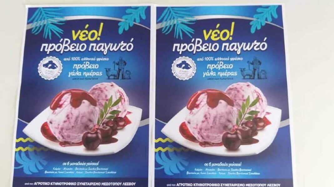 Μυτιλήνη: Αγνό παγωτό από πρόβειο γάλα - Cibum.gr