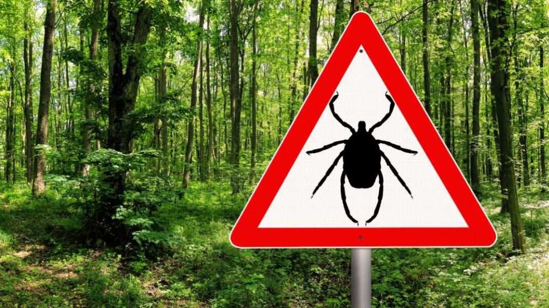 Alert: 5 κρούσματα κροτωνογενούς εγκεφαλίτιδας από τσιμπούρια - Cibum.gr