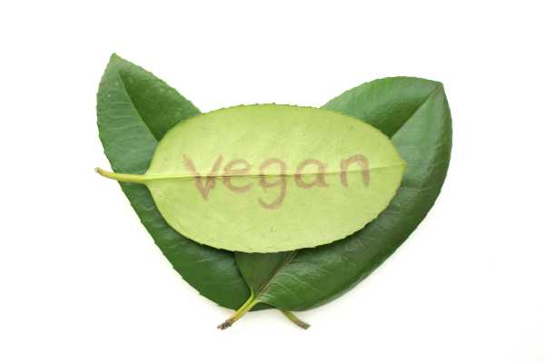Σάρωσε το Βιολογικό Χωριό με 3 βραβεία στα Vegan Awards 2022 - Cibum.gr