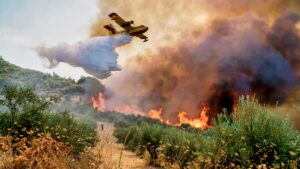 Δασικές Πυρκαγιές και Ασφάλεια Τροφίμων: Ο αόρατος κίνδυνος για την υγεία - Cibum.gr