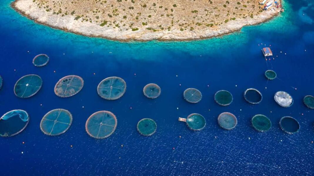 Σε δημόσια διαβούλευση το πρόγραμμα Αλιείας, Υδατοκαλλιέργειας και Θάλασσας - Cibum.gr