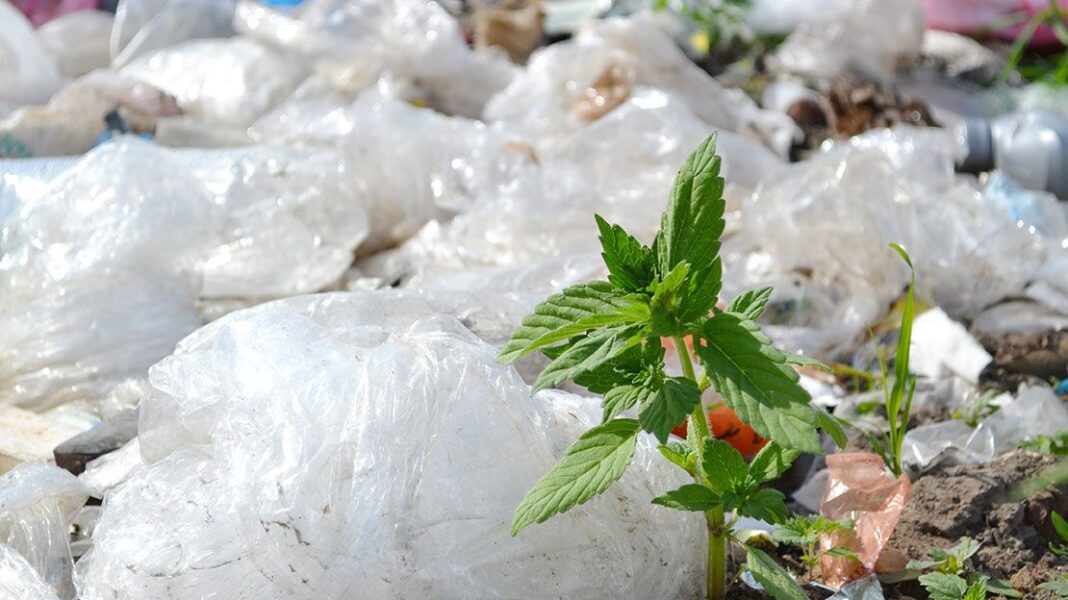 Zero Waste To Landfill - Cibum.gr