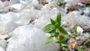 Zero Waste To Landfill - Cibum.gr