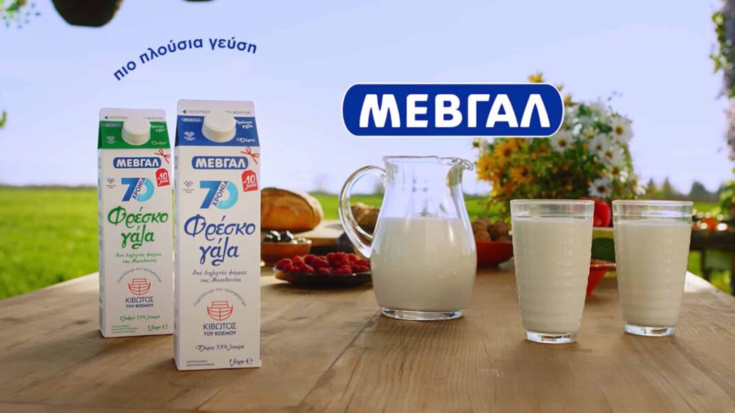 ΜΕΒΓΑΛ: 40% των διευθυντικών στελεχών είναι γυναίκες - Cibum.gr