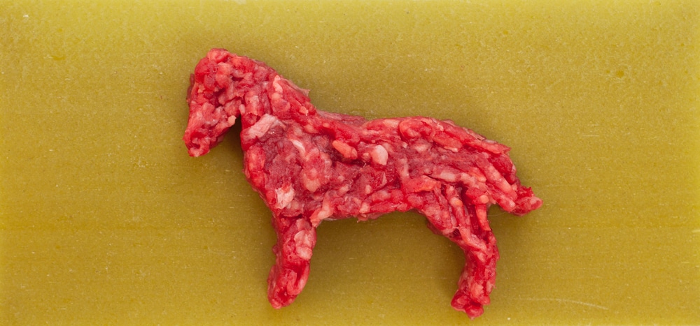 Διεθνή -  food fraud: Κρέας αλόγου σε burger - Έξι συλλήψεις - Cibum.gr