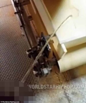 Το "σκοτεινό" παρασκήνιο της καταδίκης 49χρονου που ούρησε σε γραμμή παραγωγής της Kellogg's - Cibum.gr