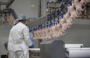 Χλώριο στο κοτόπουλο για μεγαλύτερη ασφάλεια; Οι ΗΠΑ προσπαθούν να μας πείσουν - Cibum.gr
