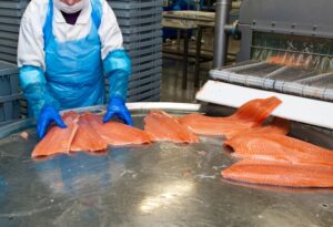 Νέο deal στα τρόφιμα: Η Elikonos 2  επενδύει €7 εκατ. στην Select Fish, το μεγαλύτερο διανομέα σολομού - Cibum.gr