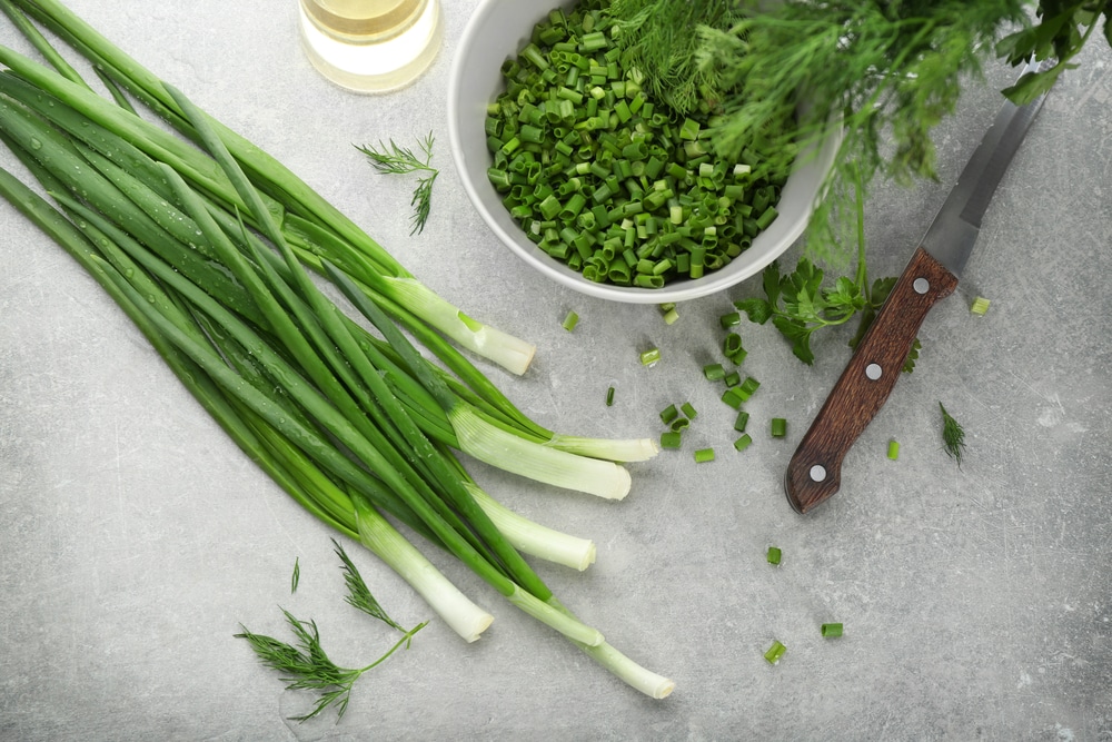 Διεθνή: Φρέσκα κρεμμυδάκια από την Αίγυπτο ύποπτα για επιδημία E. coli στη Δανία - Cibum.gr