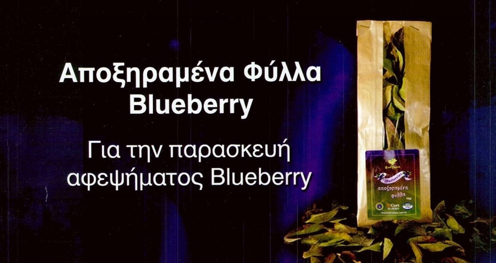 Ελληνικό superfood: Το μέλι Σπάρτης με μύρτιλο Δράμας κατακτά τις αγορές του εξωτερικού - Cibum.gr