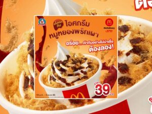 Θα μας τρελάνουν… Η McDonald’s λανσάρει παγωτό με χοιρινό!