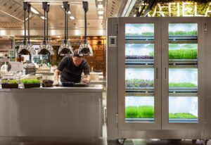 Εστίαση-Catering: Καινοτόμος εξοπλισμός για καλλιέργεια “μικρολαχανικών” επί τόπου