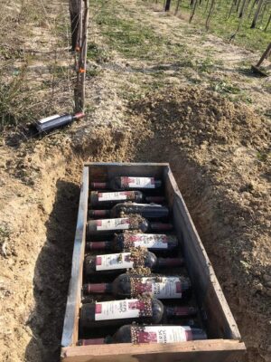 Χαλκιδική – Domaine Agrovision: Θάβουν το κρασί δίπλα στα αμπέλια για “υπεδάφια παλαίωση”